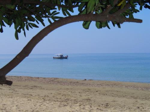 Olga's Garden - Douneika *