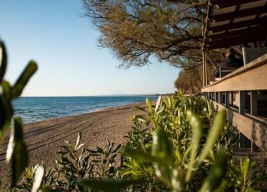 Olga's Garden - Douneika Holiday home
