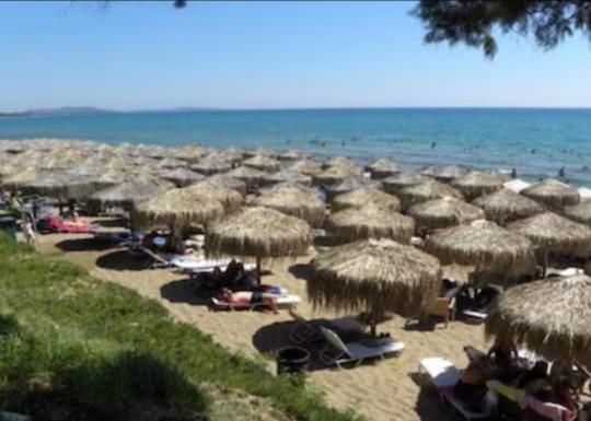 Olga's Garden - Douneika Holiday home